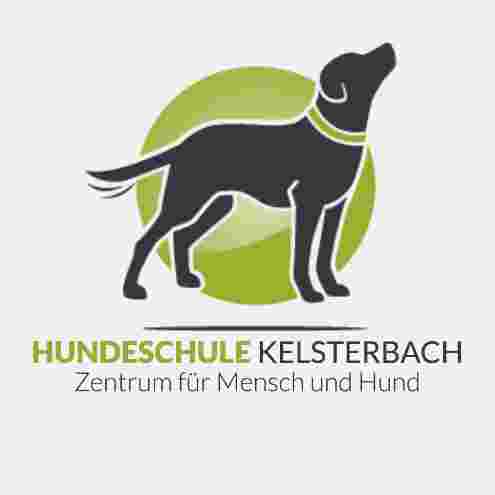 Image of Hundeschule Kelsterbach - Zentrum für Mensch und Hund service in Kelsterbach, Hessen, Germany