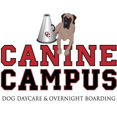 Image of Canine Campus Dog Daycare & Boarding service in Colorado Springs, Colorado, United States Image of Canine Campus Dog Daycare & Boarding service in Colorado Springs, Colorado, United States
