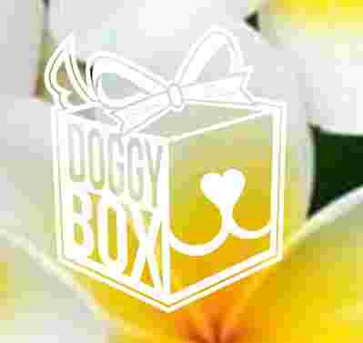 Image of Doggy Box service in Honolulu, Hawaii, United States Image of Doggy Box service in Honolulu, Hawaii, United States