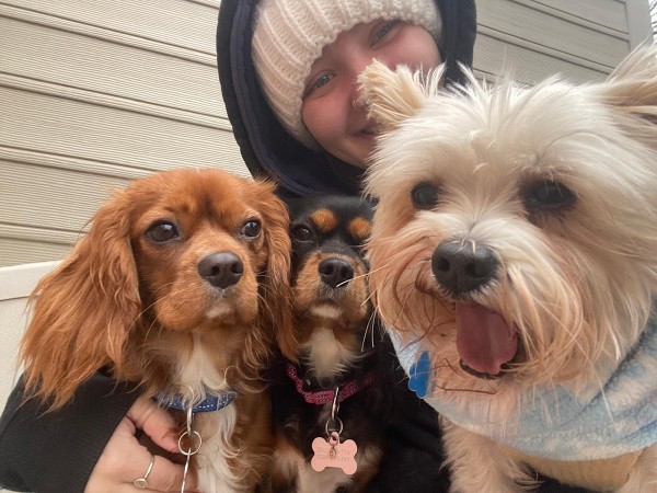 Image of Happy Dog Pet Resort service in Plymouth County, Massachusetts, United States Image of Happy Dog Pet Resort service in Plymouth County, Massachusetts, United States