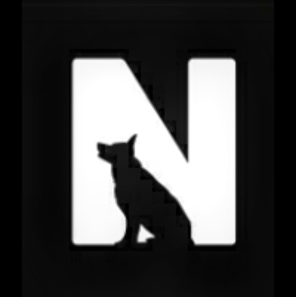 Image of Nero Dog Training service in Amsterdam, North Holland, Netherlands
