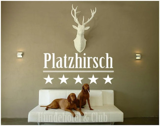 Image of Hundehotel Platzhirsch - Essen service in Essen, Nordrhein-Westfalen, Germany