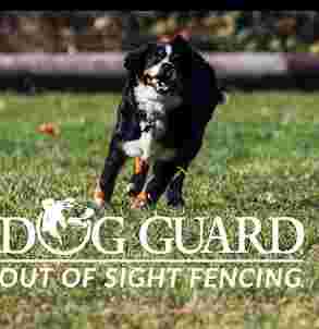 Image of Dog Guard of Central Indiana service in Franklin, Indiana, United States