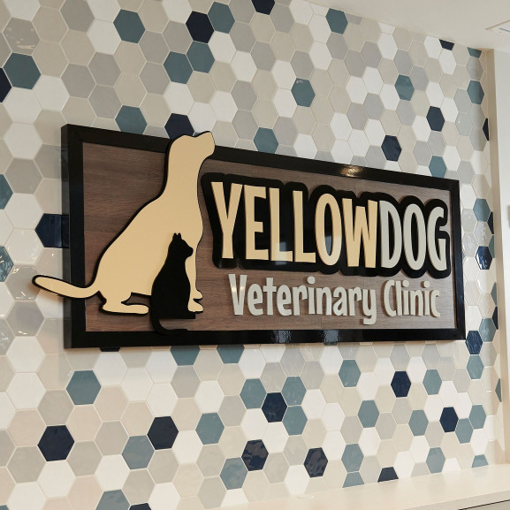 Image of Yellow Dog Veterinary Clinic service in Carmel, California, United States