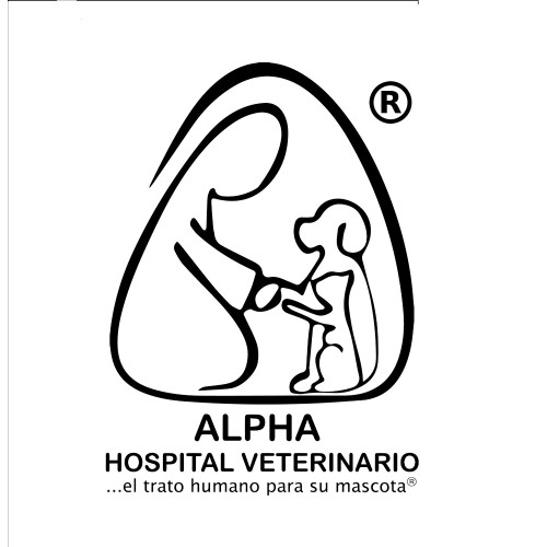 Image of Alpha Clínica Veterinaria service in Chihuahua, Chihuahua, Mexico