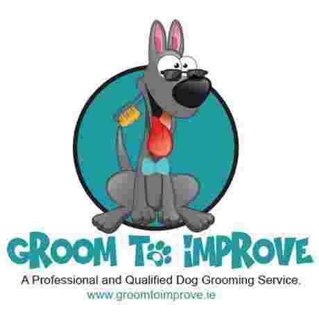 Image of Groom To Improve service in Dublin, Dublin, Ireland Image of Groom To Improve service in Dublin, Dublin, Ireland