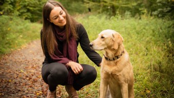 Image of Hundeschule OHANA ZH service in Zurich, Zurich, Switzerland Image of Hundeschule OHANA ZH service in Zurich, Zurich, Switzerland