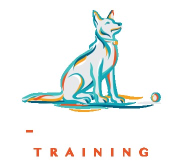 Image of A-Z Canine Training service in Burnaby, British Columbia, Canada Image of A-Z Canine Training service in Burnaby, British Columbia, Canada