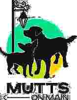 Image of Mutts on Main - Montville service in Montville, New Jersey, United States Image of Mutts on Main - Montville service in Montville, New Jersey, United States