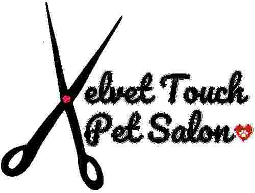 Image of The Velvet Touch Pet Salon service in Hinsdale, Illinois, United States Image of The Velvet Touch Pet Salon service in Hinsdale, Illinois, United States