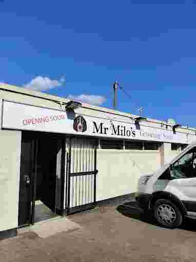 Image of Mr Milo's Grooming Studio service in Wideopen, England, United Kingdom