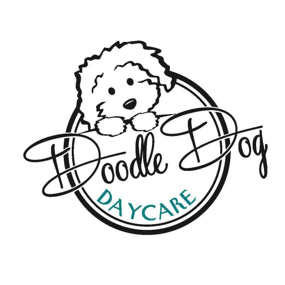 Image of Doodle Dog Daycare, Boarding and Grooming service in Nampa, Idaho, United States