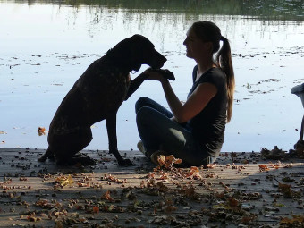 Image of Sarah Dierks Hundetraining und Verhaltensberatung service in Langwedel, Niedersachsen, Germany
