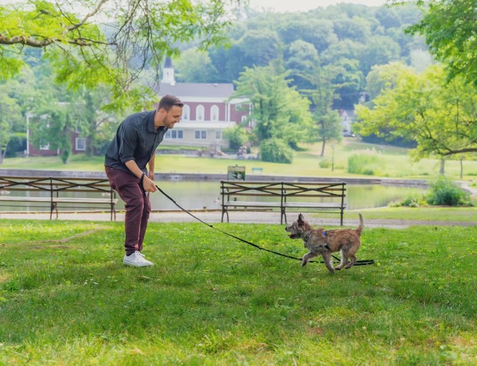 Image of UpDog Pet Services service in Village of Lynbrook, New York, United States Image of UpDog Pet Services service in Village of Lynbrook, New York, United States