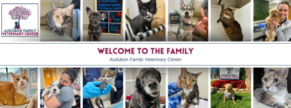 Image of Audubon Family Veterinary Center service in Audubon, Pennsylvania, United States