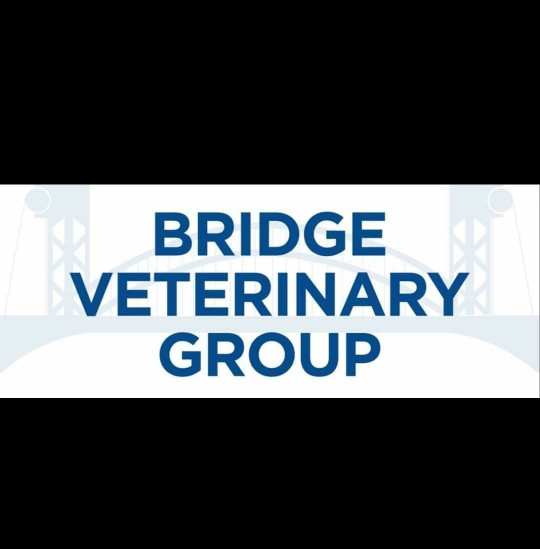 Image of Bridge Veterinary Group - Billingham service in Stockton-on-Tees, Cleveland, United Kingdom