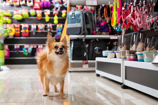 Image of Ritz Pet Shop service in Forest Hall, England, United Kingdom Image of Ritz Pet Shop service in Forest Hall, England, United Kingdom