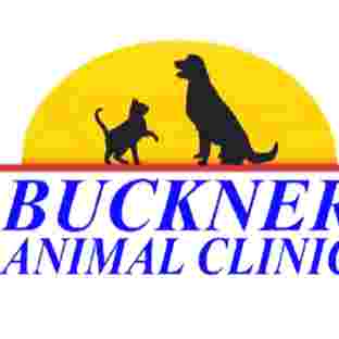 Image of Buckner Animal Clinic service in Dallas, Georgia, United States