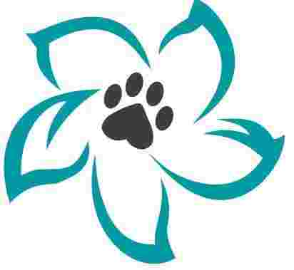 Image of Clínica Veterinaria Vinca service in Benalmadena, Malaga, Spain