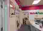 Image of Vets 4 Pets - Dumbarton service in Dumbarton, Scotland, United Kingdom