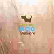 Image of Premier Dog Walkers- W End Ln service in London, England, United Kingdom