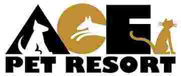 Image of Ace Pet Resort - Sarasota service in Sarasota, Florida, United States Image of Ace Pet Resort - Sarasota service in Sarasota, Florida, United States