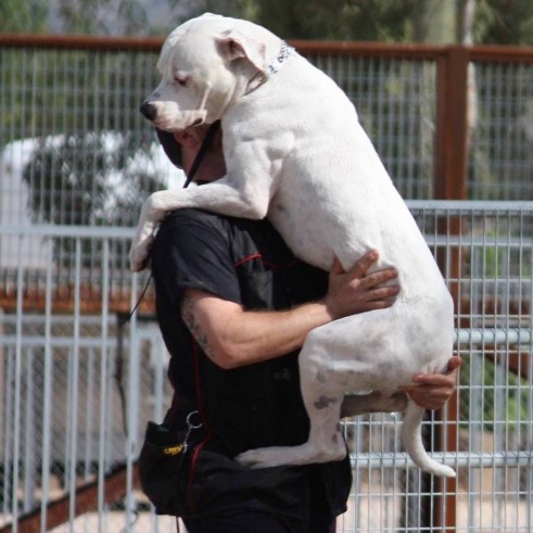 Image of Clover Canine service in Phoenix, Arizona, United States Image of Clover Canine service in Phoenix, Arizona, United States