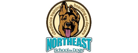Image of Northeast School For Dogs service in Worcester County, Massachusetts, United States