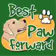 Image of Best Paw Forward service in Hartland, Wisconsin, United States Image of Best Paw Forward service in Hartland, Wisconsin, United States