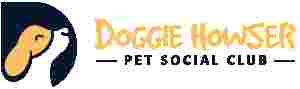 Image of Doggie Howser Pet Social Club service in Austin, Minnesota, United States