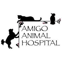 Image of Amigo Animal Hospital service in San Antonio, Texas, United States