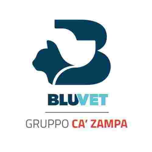 Image of Centro Veterinario Gregorio VII service in Roma, Lazio, Italy