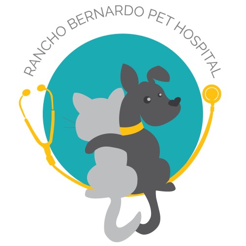 Image of Rancho Bernardo Pet Hospital service in San Diego, California, United States
