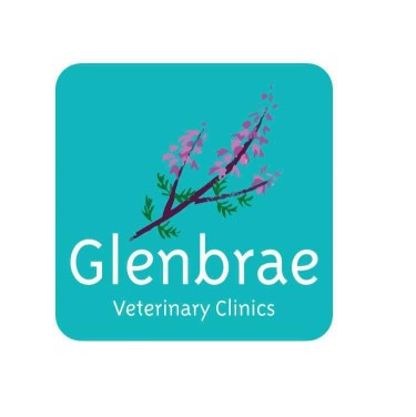 Image of Glenbrae Veterinary Clinic service in Bearsden, Scotland, United Kingdom Image of Glenbrae Veterinary Clinic service in Bearsden, Scotland, United Kingdom