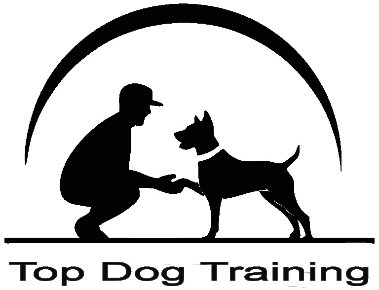 Image of Top Dog Training Nassau County service in Village of Great Neck Plaza, New York, United States Image of Top Dog Training Nassau County service in Village of Great Neck Plaza, New York, United States