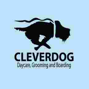 Image of Cleverdog Grooming & Day Care service in Silver Spring, Maryland, United States