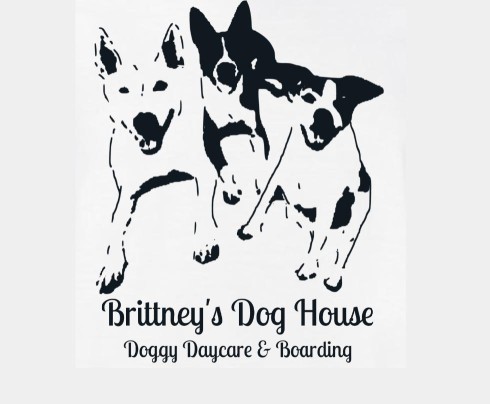 Image of Brittney's Dog House, LLC service in Spanaway, Washington, United States Image of Brittney's Dog House, LLC service in Spanaway, Washington, United States