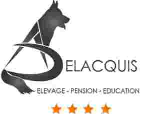Image of Elevage - Saint-Cyr-au-Mont-d'Or service in Echets (Les, Auvergne-Rhône-Alpes, France Image of Elevage - Saint-Cyr-au-Mont-d'Or service in Echets (Les, Auvergne-Rhône-Alpes, France