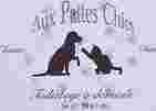 Image of Aux Pattes Chics service in Toulouse, Haute-Garonne, France
