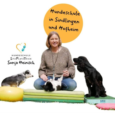 Image of Sonja Heinisch - Hundeschule SitzPlatzTrick service in Frankfurt am Main, Hessen, Germany