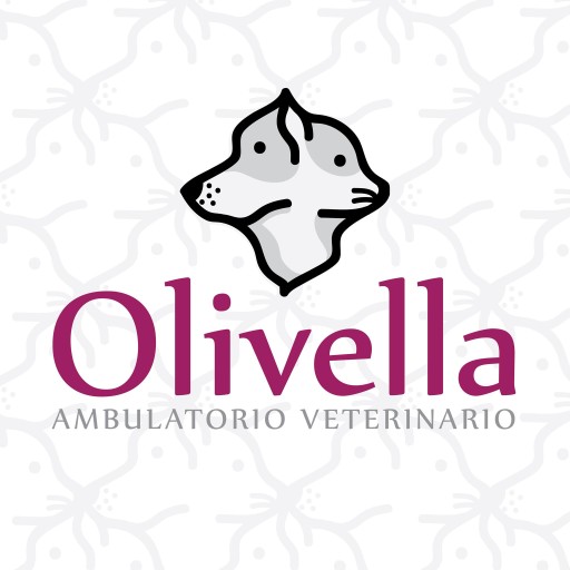 Image of Ambulatorio Veterinario Olivella service in Napoli, Campania, Italy Image of Ambulatorio Veterinario Olivella service in Napoli, Campania, Italy