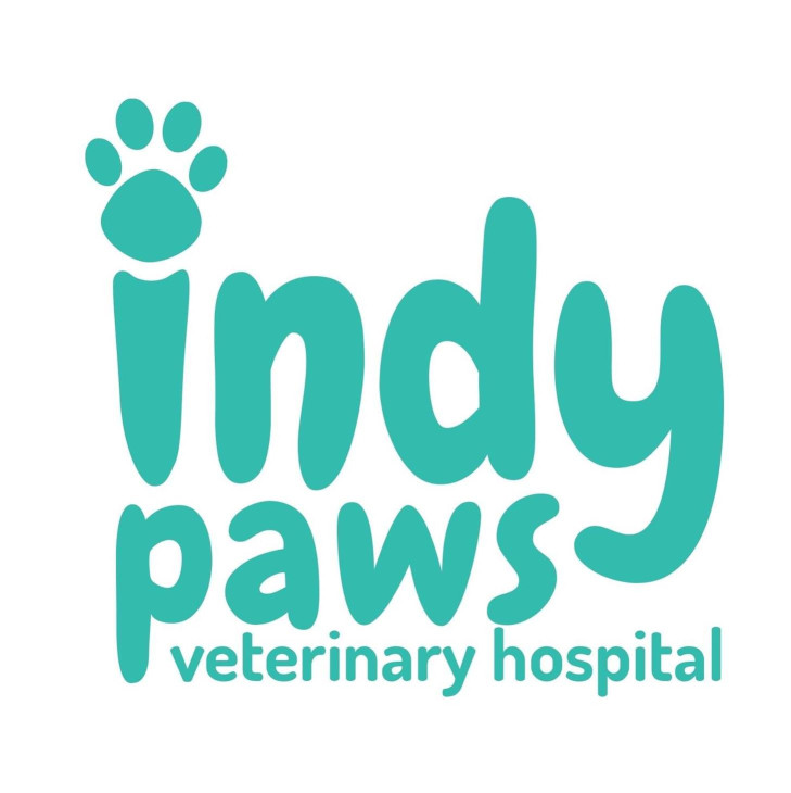 Image of Indy Paws Veterinary Hospital service in New Palestine, Indiana, United States