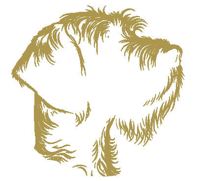 Image of Nick's Hundesalon service in Oberhausen, Nordrhein-Westfalen, Germany