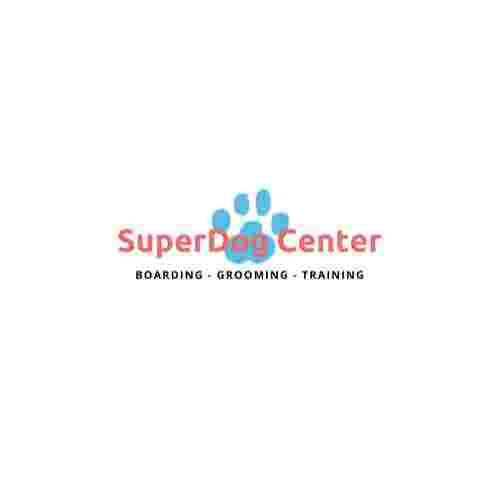 Image of SuperDog Center service in Spring Hill, Florida, United States