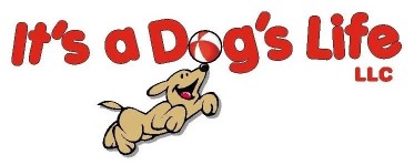 Image of It's a Dog's Life LLC service in Milwaukee, Wisconsin, United States Image of It's a Dog's Life LLC service in Milwaukee, Wisconsin, United States