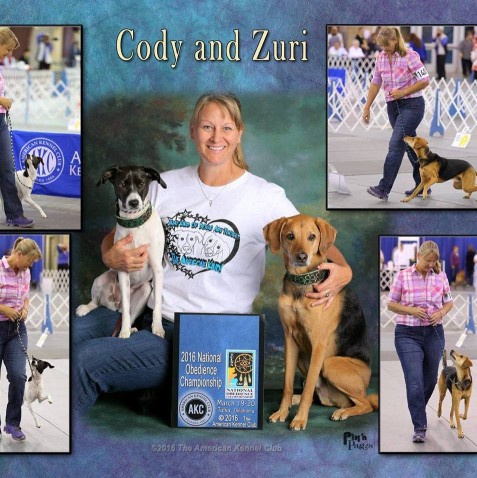 Image of Castle Keep Pet Training service in Longwood, Florida, United States Image of Castle Keep Pet Training service in Longwood, Florida, United States