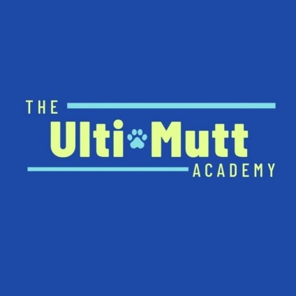 Image of The Ulti-Mutt Academy, LLC service in East Hampton, New York, United States Image of The Ulti-Mutt Academy, LLC service in East Hampton, New York, United States