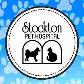 Image of Stockton Pet Hospital service in Lakewood, California, United States Image of Stockton Pet Hospital service in Lakewood, California, United States