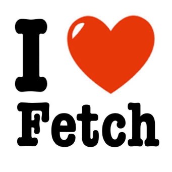 Image of Fetch Dog Resort service in Indianapolis, Indiana, United States