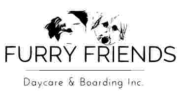 Image of Furry Friends Daycare and Boarding inc service in New Westminster, British Columbia, Canada Image of Furry Friends Daycare and Boarding inc service in New Westminster, British Columbia, Canada